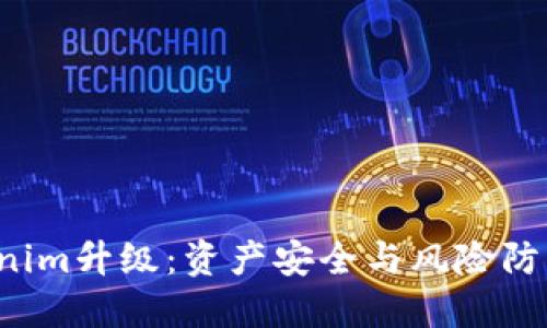  Tokenim升级：资产安全与风险防范指南
